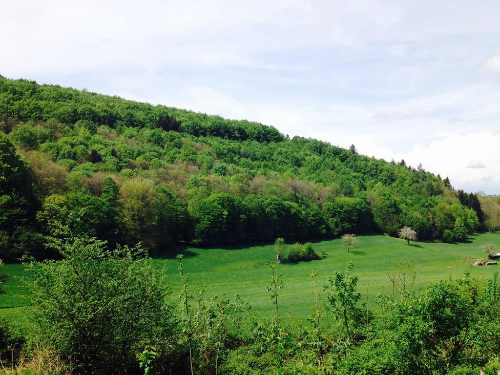 דירות קיפנהיים Schwarzwald Domizil Uhlsberg מראה חיצוני תמונה